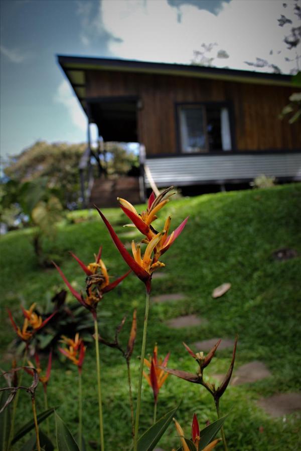 The Lodge At Reventazon River Mountain Ranch Turrialba Exterior foto